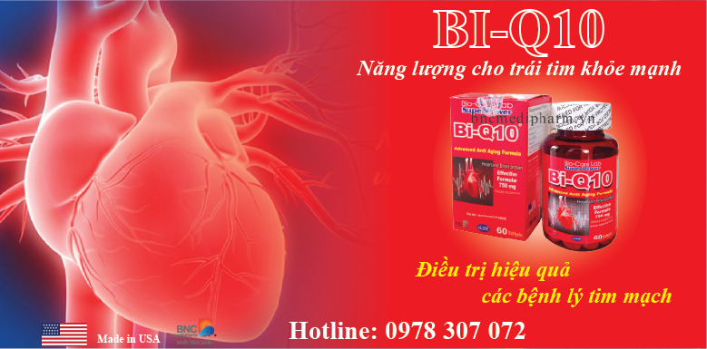 bi q10